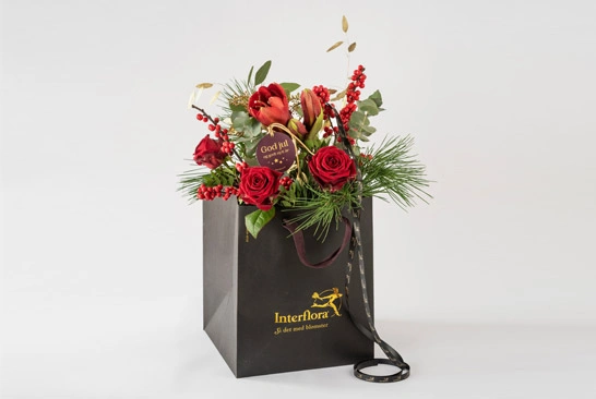 Background-Removal-Service_Before