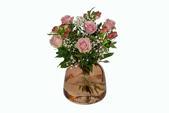 2. Ecommerce-Image-Editing_After