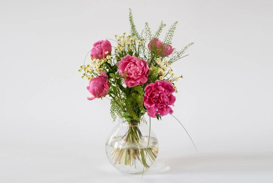 Super-Complex-Product-Photo-Editing_Before